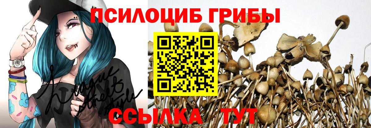 Галлюциногенные грибы мицелий Каменск-Уральский