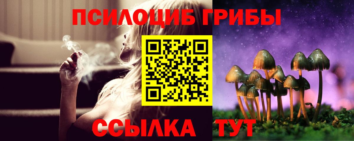 Галлюциногенные грибы мухоморы  Вход с VPN  как найти закладки  Каменск-Уральский  Галлюциногенные грибы Cubensis 